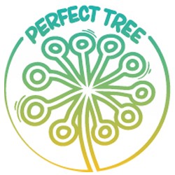 Perfect Tree Seeds