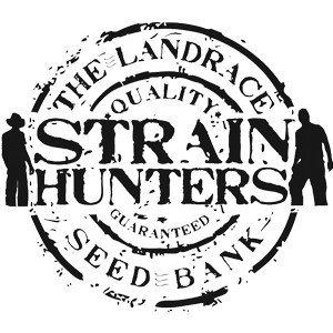 Strain Hunters SeedBank
