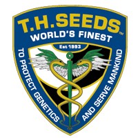 TH Seeds