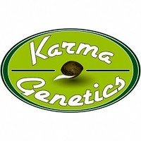 Karma Genetics