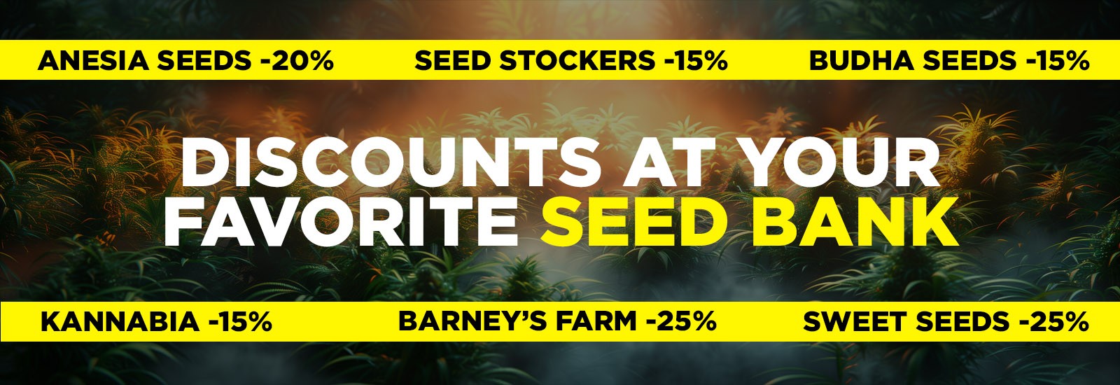 Seeds offers
