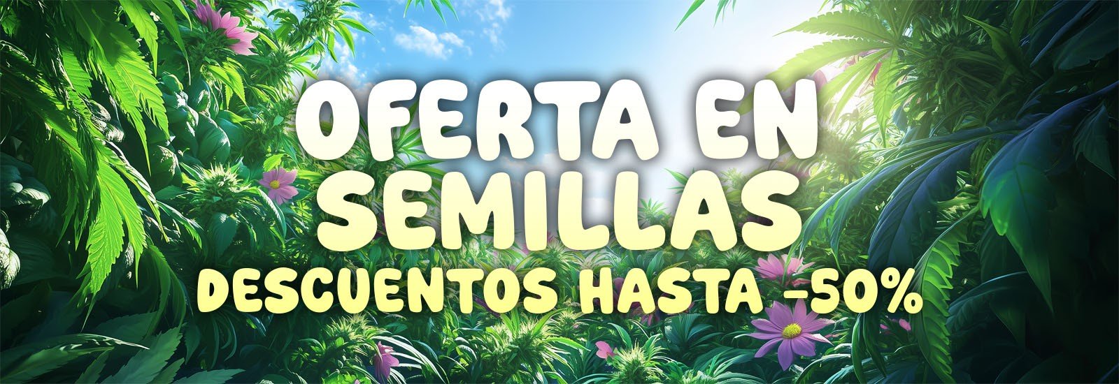 Oferta semillas