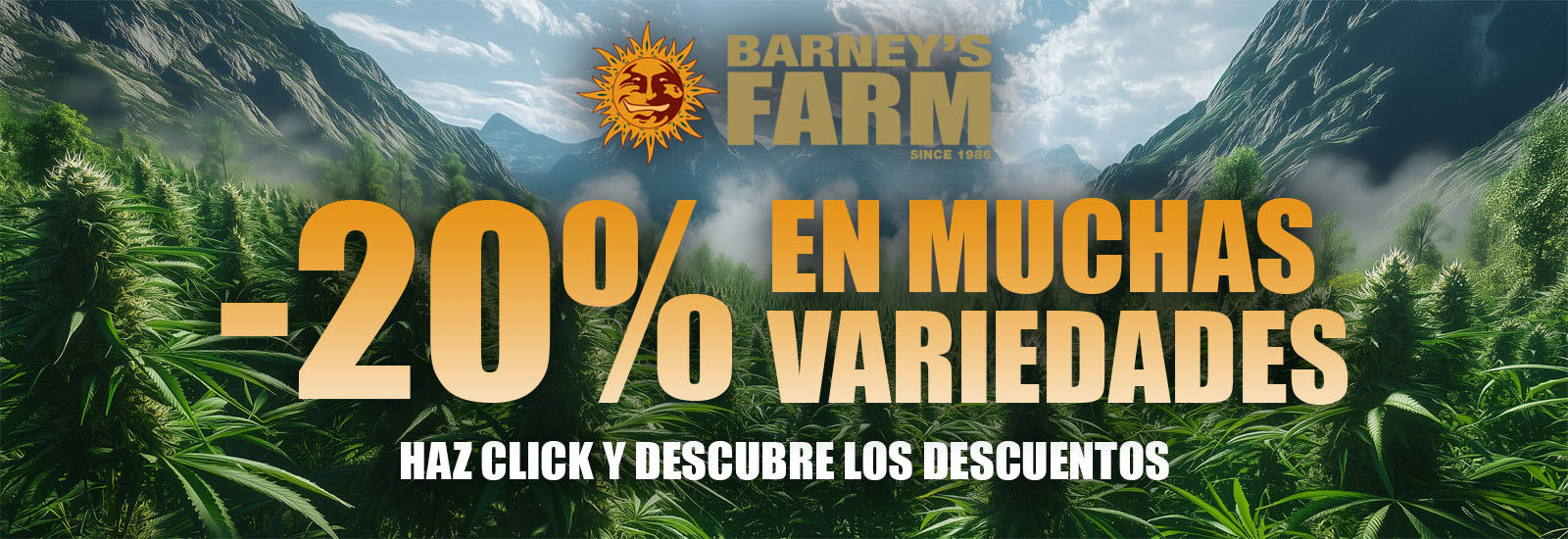 barneys farm