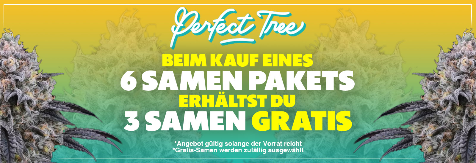 perfect tree seeds