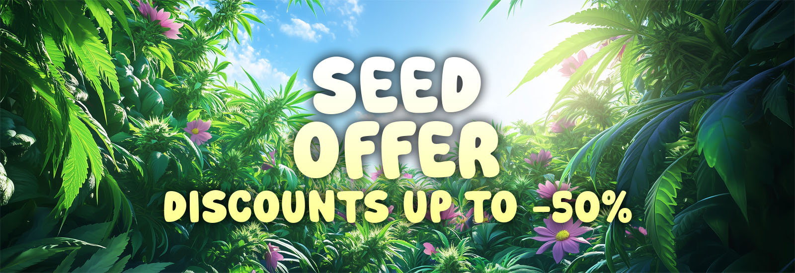 seeds offer
