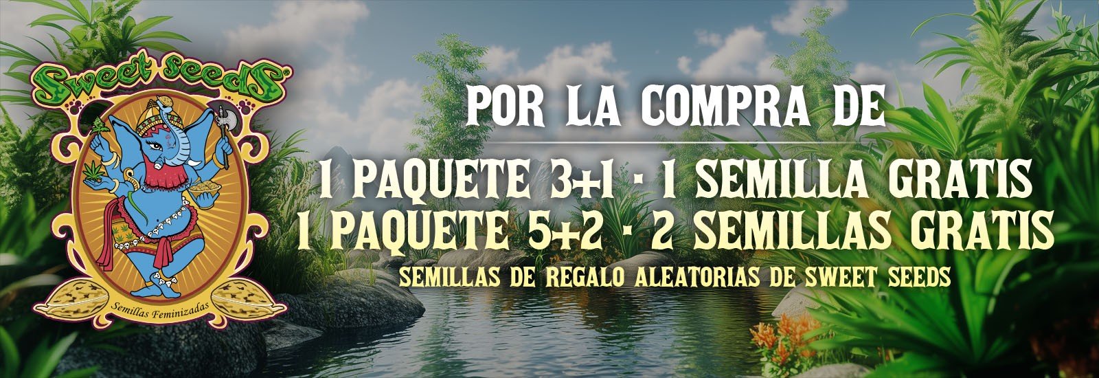 c727b5e8203cbea6dc208e0d00b34617a4b363fa_BANNER SWEET SEEDS ABRIL_español.jpg