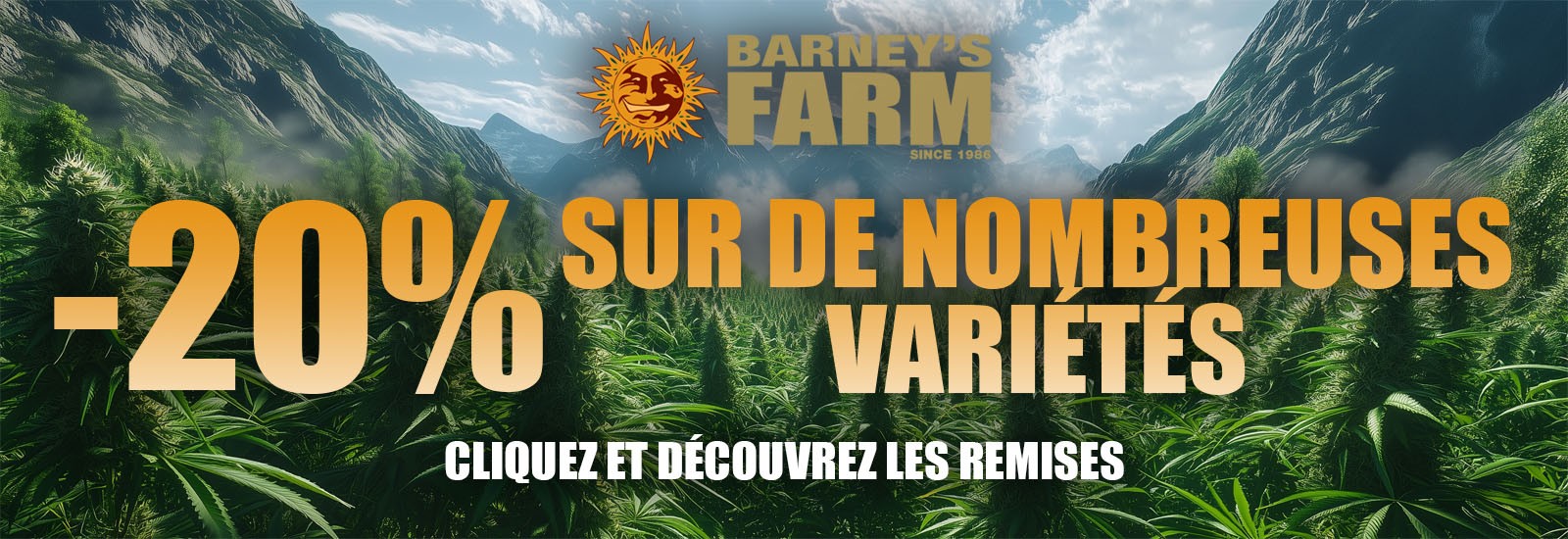 d5001c7dafcfa541760a4fcde05e408d3276e611_BANNER BARNEYS ABRIL_frances.jpg