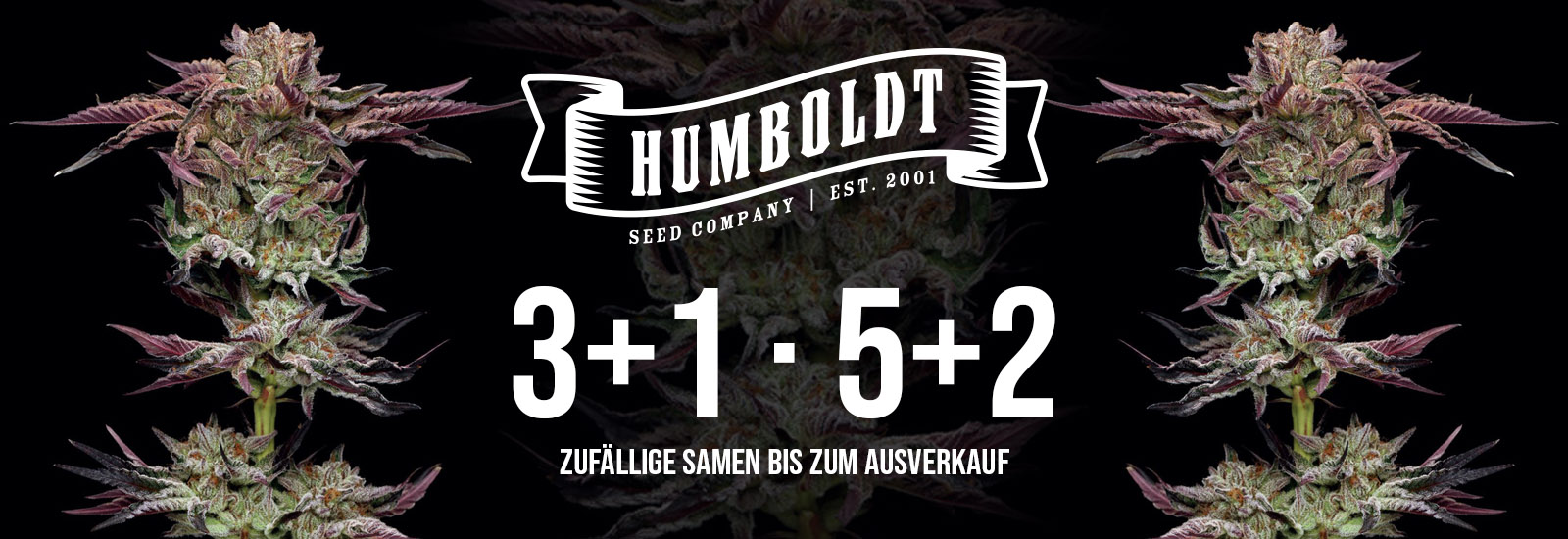 Humboldt Seed Company