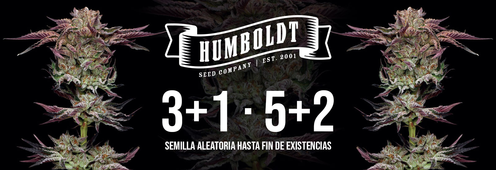 Humbold Seeds Company