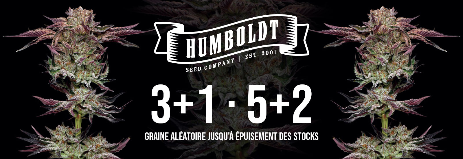 Humboldt Seed Company