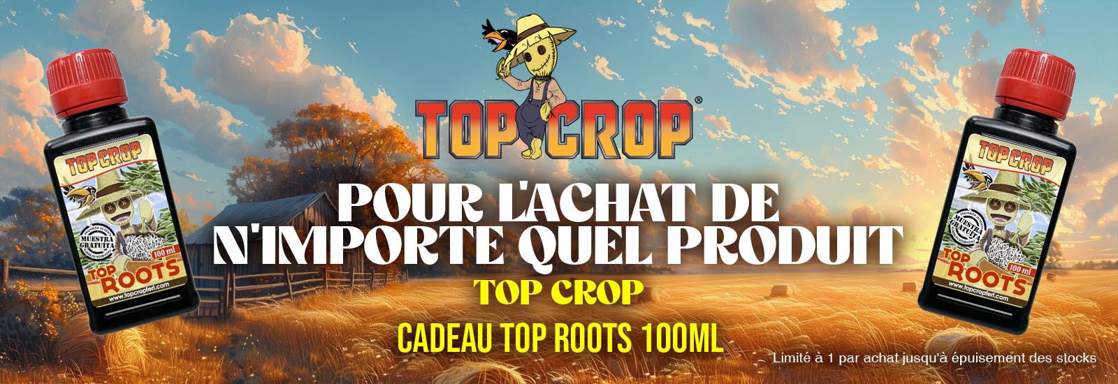 top crop