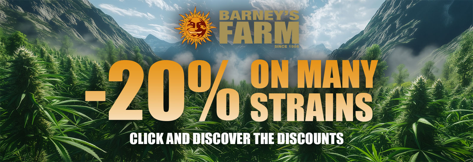 barneys farm