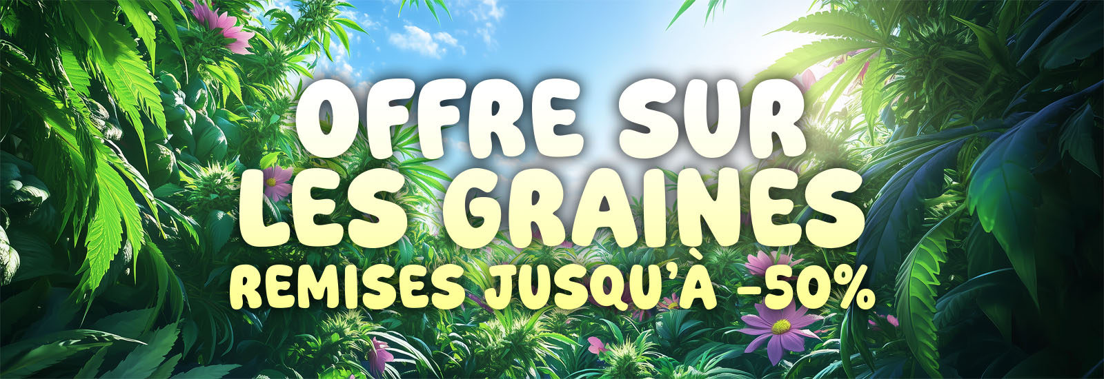 ofertas semillas