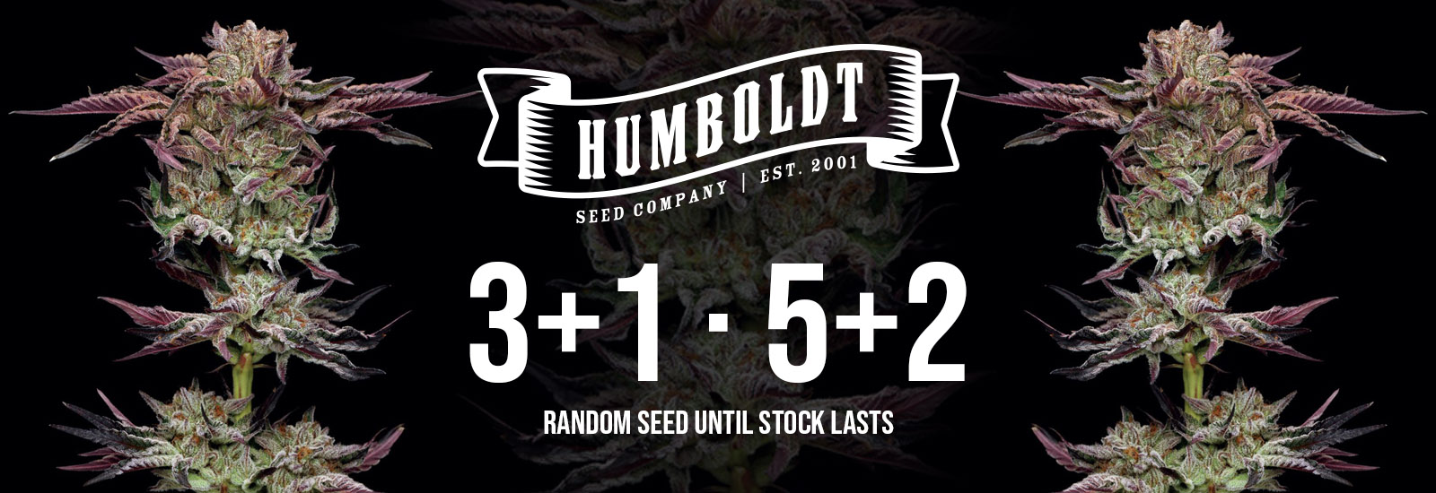 Humboldt Seeds Company