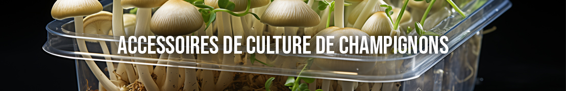 accesoires de culture de champignons