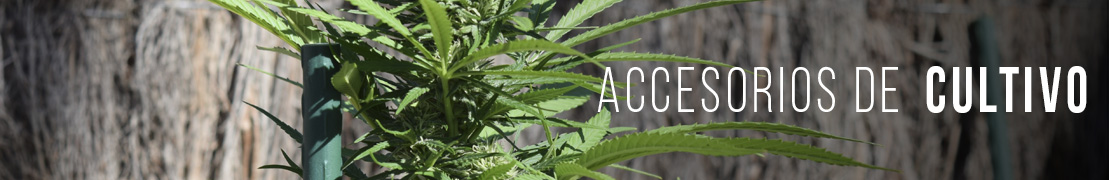 Accesorios cultivo cannabis