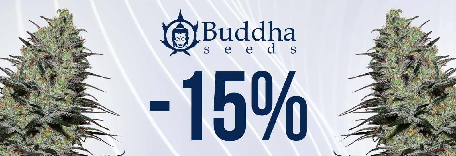 Graines promo Buddha Seeds