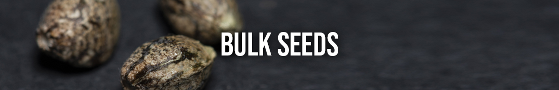 bulk seeds