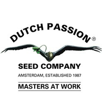 Dutch Passion