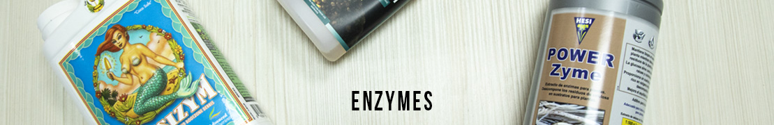 Enzymes