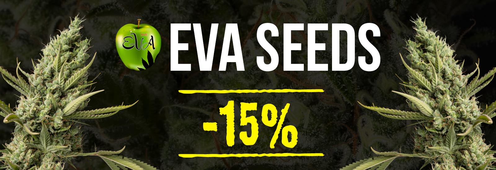 Graines promo Eva Seeds