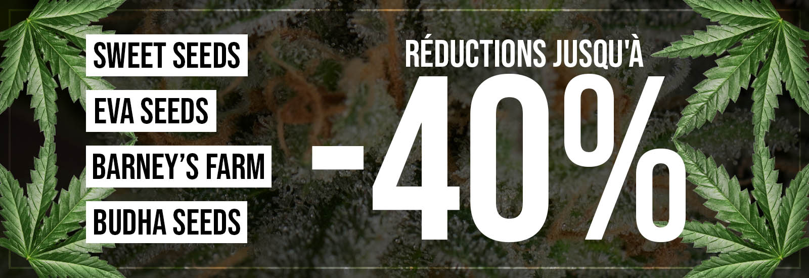 Reduction cannabis