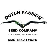 Dutch Passion