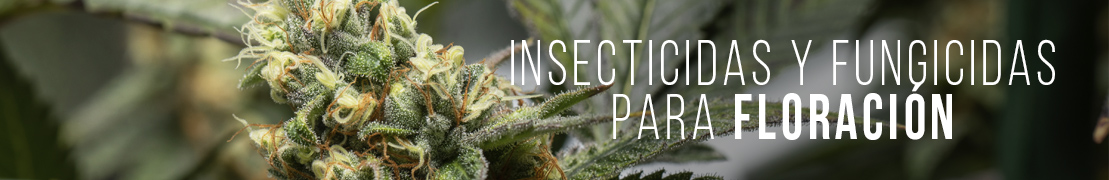 Insecticidas para marihuana en floración
