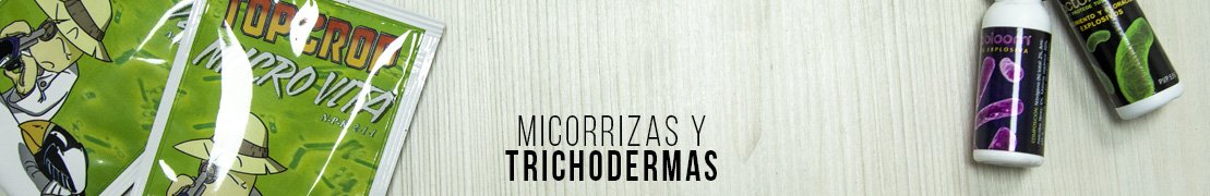 Micorrizas y trichodermas